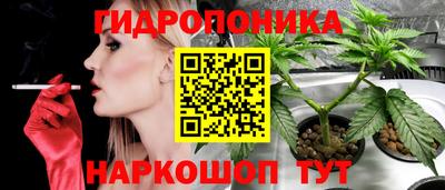 spice Татарск